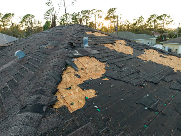 Best Roof Ventilation Installation  in Waldpt, OR